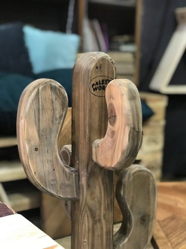 Cactus recyclées fabriqué a Toulon